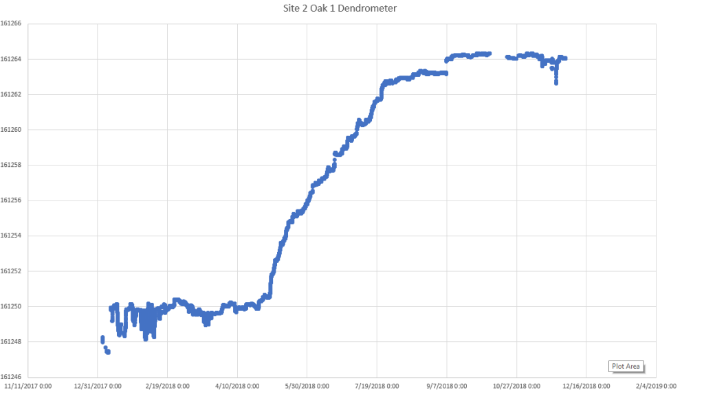 Chart of annual dendrometer data for a New York oak showing the growing season